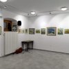 2019-11-08-Slikarska-razstava-Zdenke-Gorjan-05